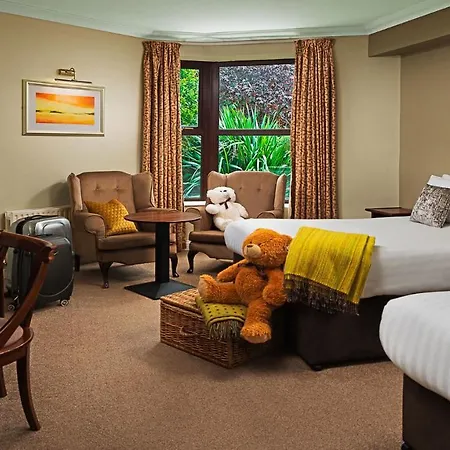 Conference And Leisure Centre Galway Hotel